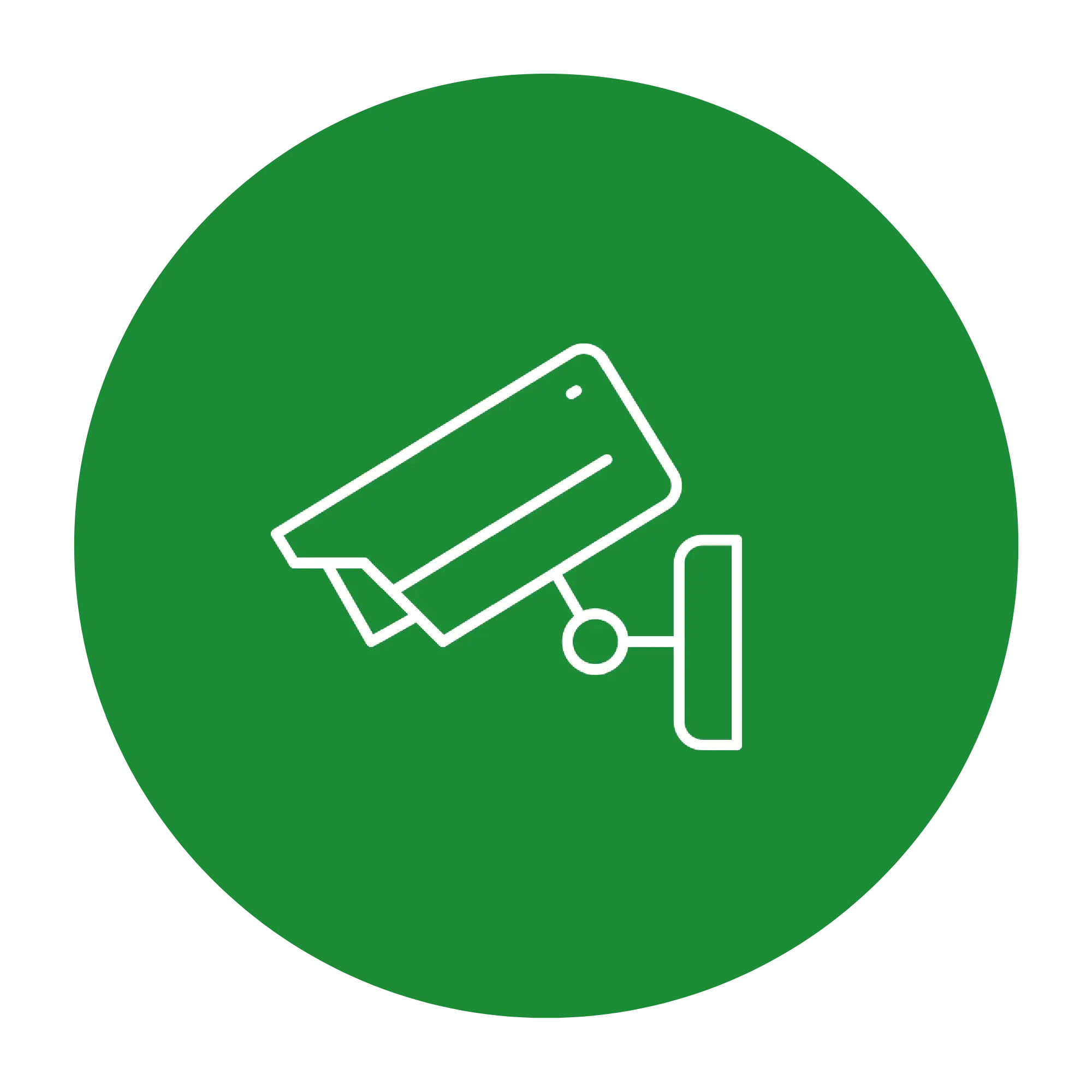 cctv-octopus-safeguard-icon-DG